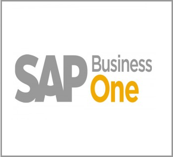 SAP BUSINESS ONE